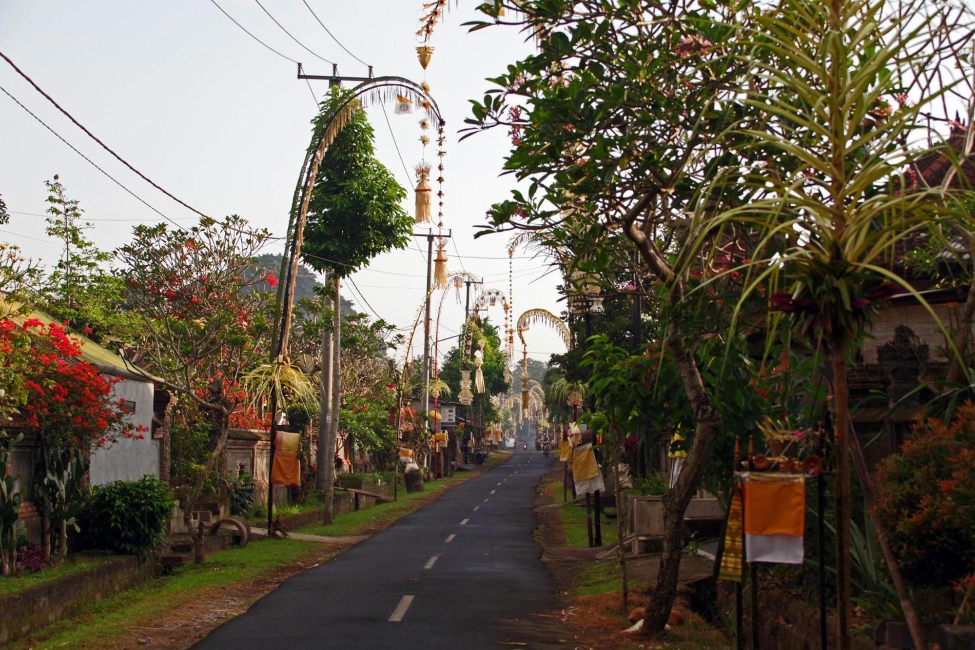 Hotel Ubad Retreat Ubud Exterior foto